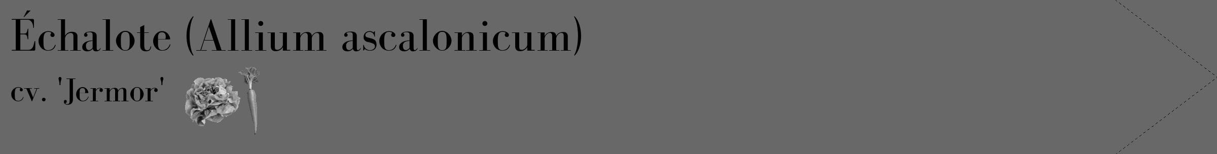 Étiquette de : Allium ascalonicum cv. 'Jermor' - format c - style noire43_simple_simplebod avec comestibilité simplifiée