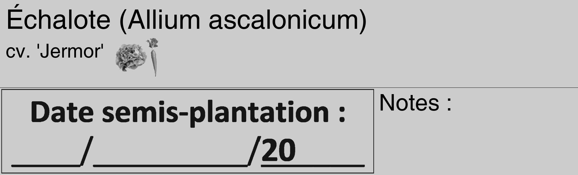 Étiquette de : Allium ascalonicum cv. 'Jermor' - format c - style noire0_basique_basiquehel avec comestibilité simplifiée