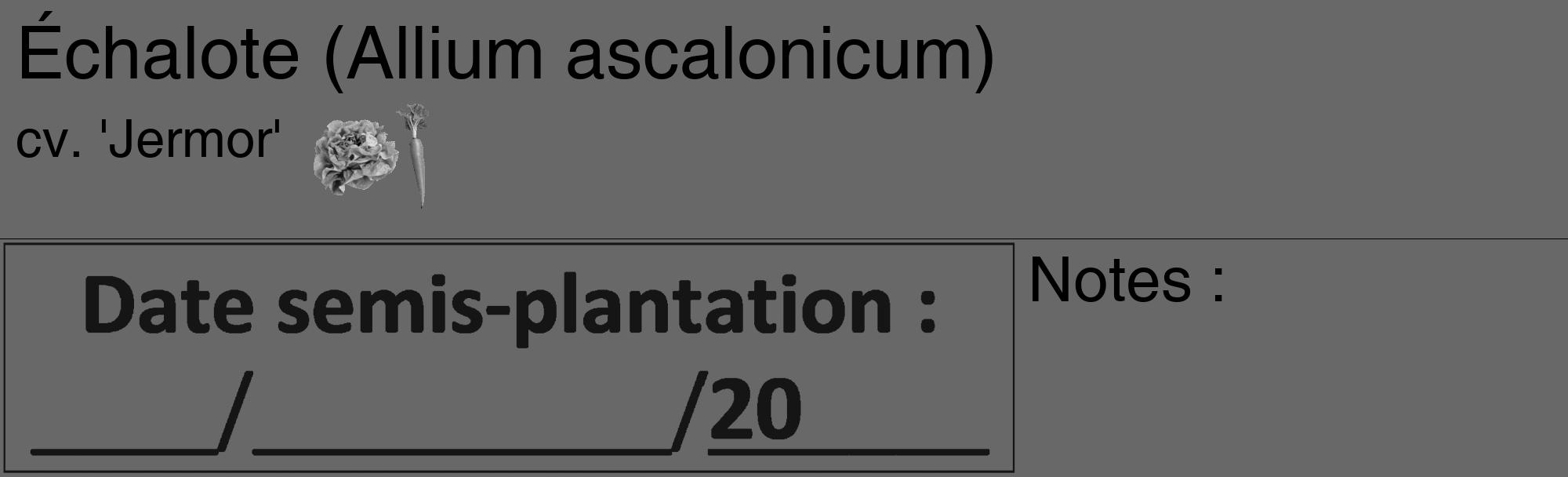 Étiquette de : Allium ascalonicum cv. 'Jermor' - format c - style noire43_basique_basiquehel avec comestibilité simplifiée