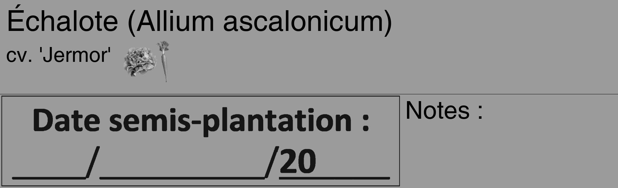 Étiquette de : Allium ascalonicum cv. 'Jermor' - format c - style noire52_basique_basiquehel avec comestibilité simplifiée