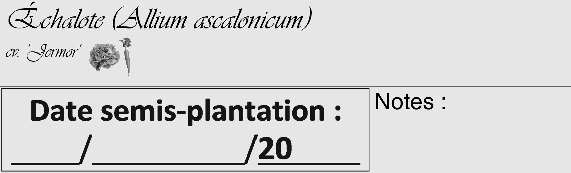 Étiquette de : Allium ascalonicum cv. 'Jermor' - format c - style noire18_basique_basiqueviv avec comestibilité simplifiée