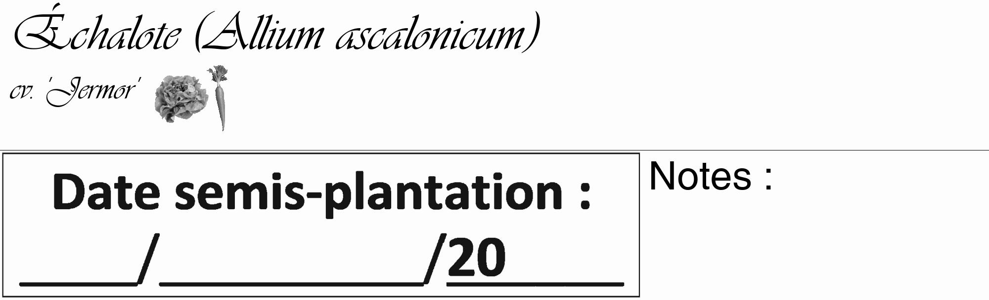 Étiquette de : Allium ascalonicum cv. 'Jermor' - format c - style noire19_basique_basiqueviv avec comestibilité simplifiée