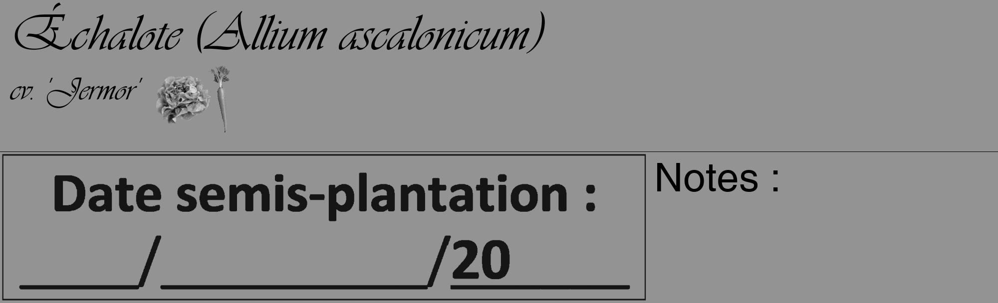 Étiquette de : Allium ascalonicum cv. 'Jermor' - format c - style noire44_basique_basiqueviv avec comestibilité simplifiée