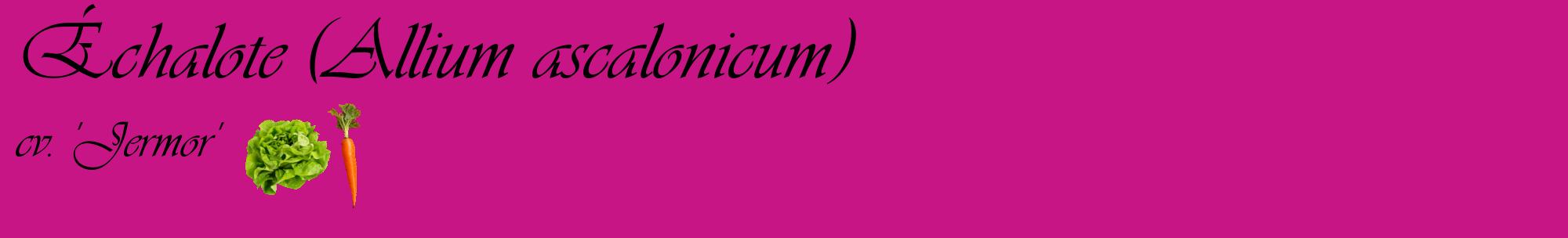 Étiquette de : Allium ascalonicum cv. 'Jermor' - format c - style noire45basique_basique_basiqueviv avec comestibilité simplifiée