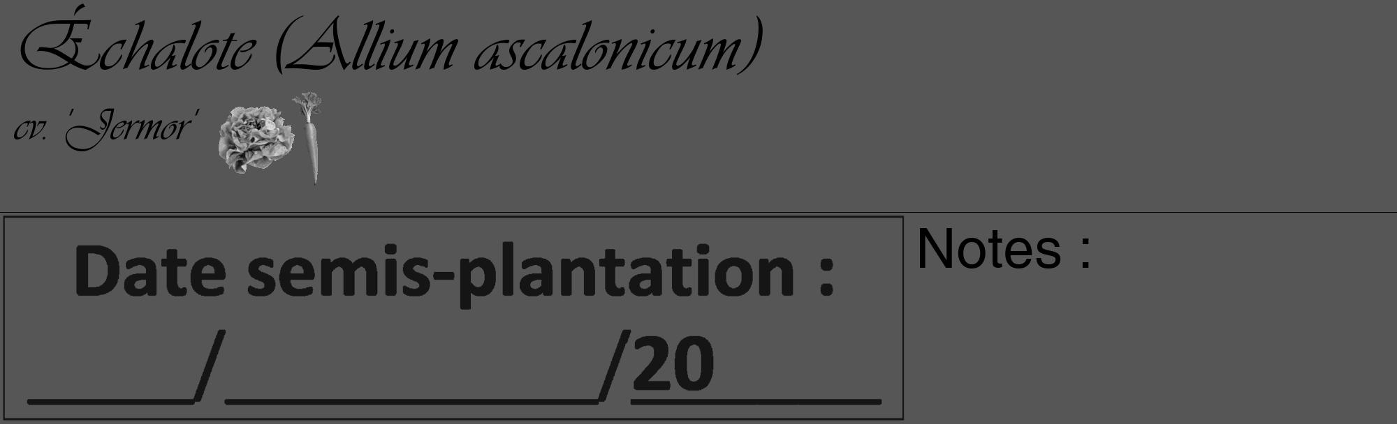 Étiquette de : Allium ascalonicum cv. 'Jermor' - format c - style noire45basique_basique_basiqueviv avec comestibilité simplifiée