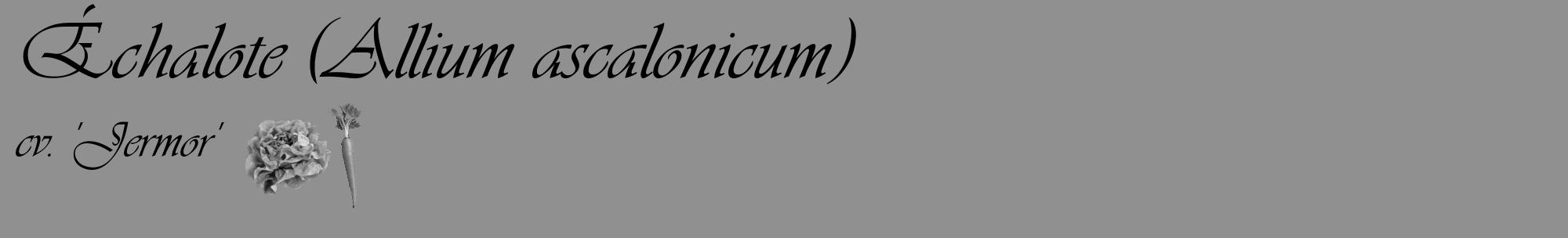 Étiquette de : Allium ascalonicum cv. 'Jermor' - format c - style noire4_basique_basiqueviv avec comestibilité simplifiée