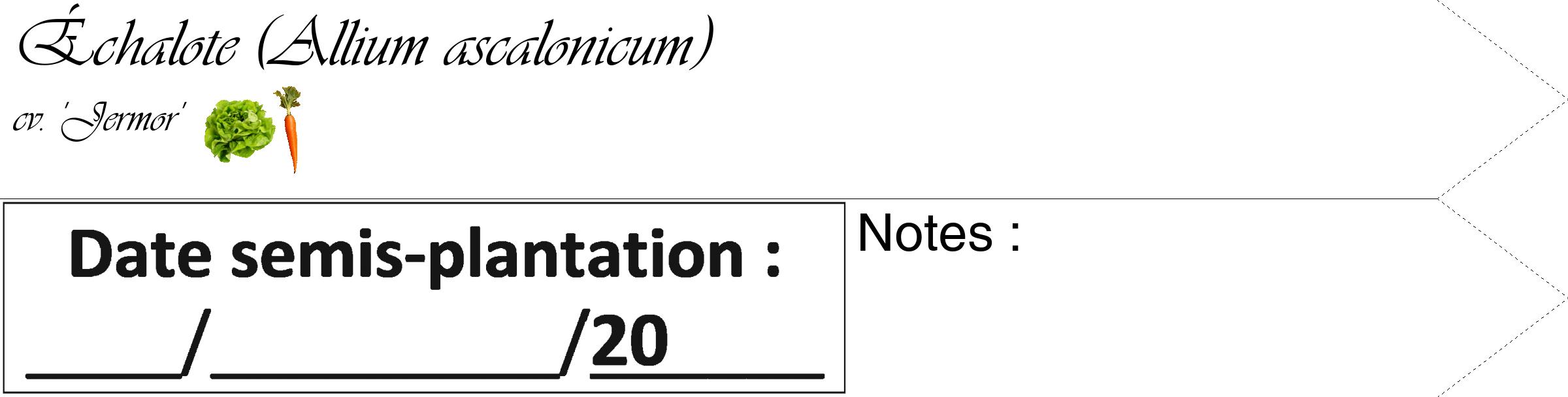 Étiquette de : Allium ascalonicum cv. 'Jermor' - format c - style noire60_simple_simpleviv avec comestibilité simplifiée