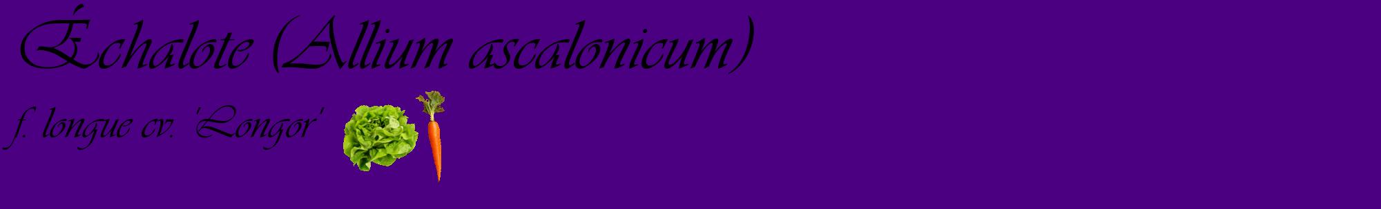 Étiquette de : Allium ascalonicum f. longue cv. 'Longor' - format c - style noire47basique_basique_basiqueviv avec comestibilité simplifiée