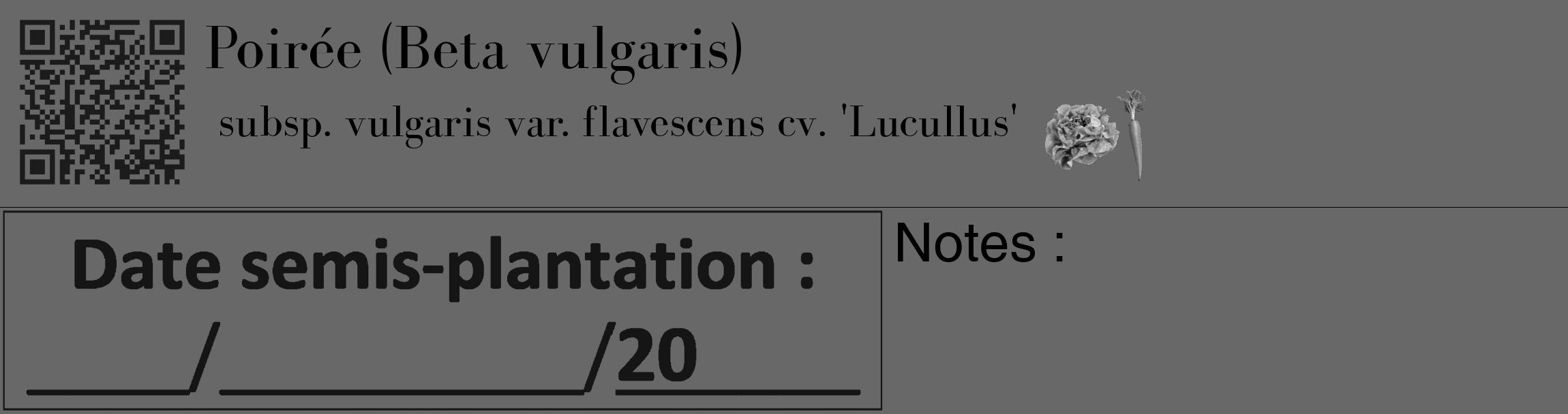 Étiquette de : Beta vulgaris subsp. vulgaris var. flavescens cv. 'Lucullus' - format c - style noire43_basique_basiquebod avec qrcode et comestibilité simplifiée