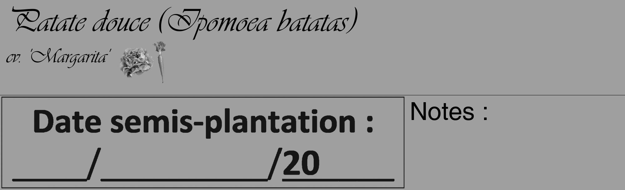 Étiquette de : Ipomoea batatas cv. 'Margarita' - format c - style noire24_basique_basiqueviv avec comestibilité simplifiée