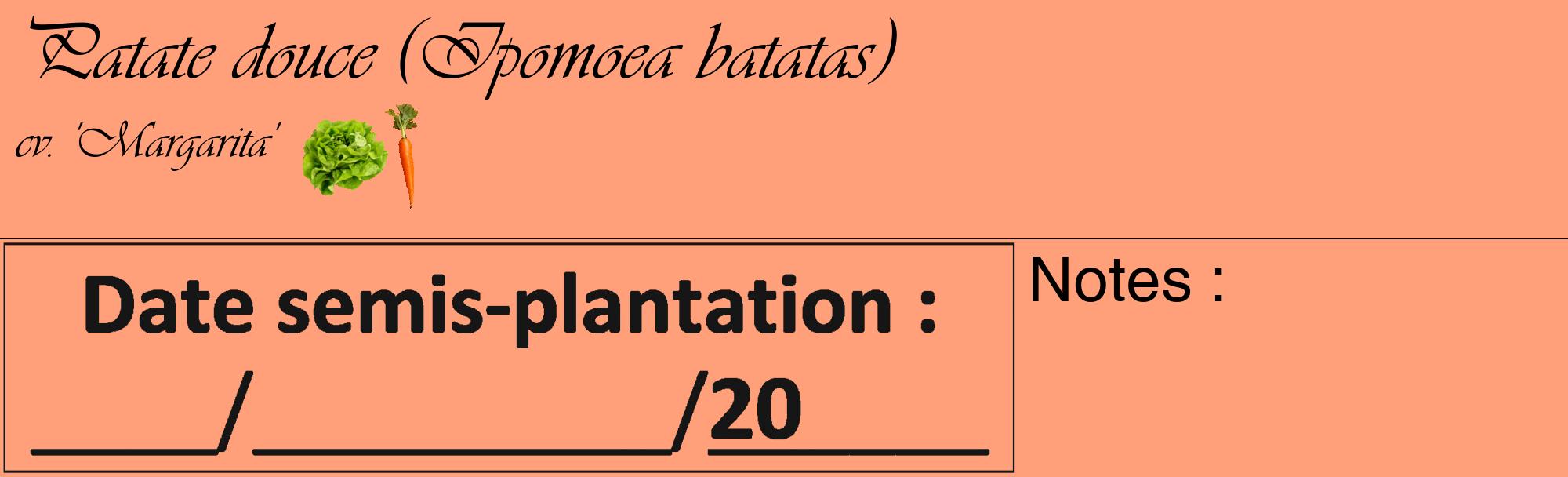 Étiquette de : Ipomoea batatas cv. 'Margarita' - format c - style noire39_basique_basiqueviv avec comestibilité simplifiée