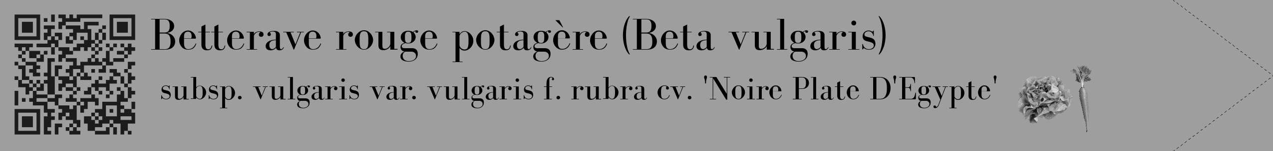 Étiquette de : Beta vulgaris subsp. vulgaris var. vulgaris f. rubra cv. 'Noire Plate D'Egypte' - format c - style noire42_simple_simplebod avec qrcode et comestibilité simplifiée