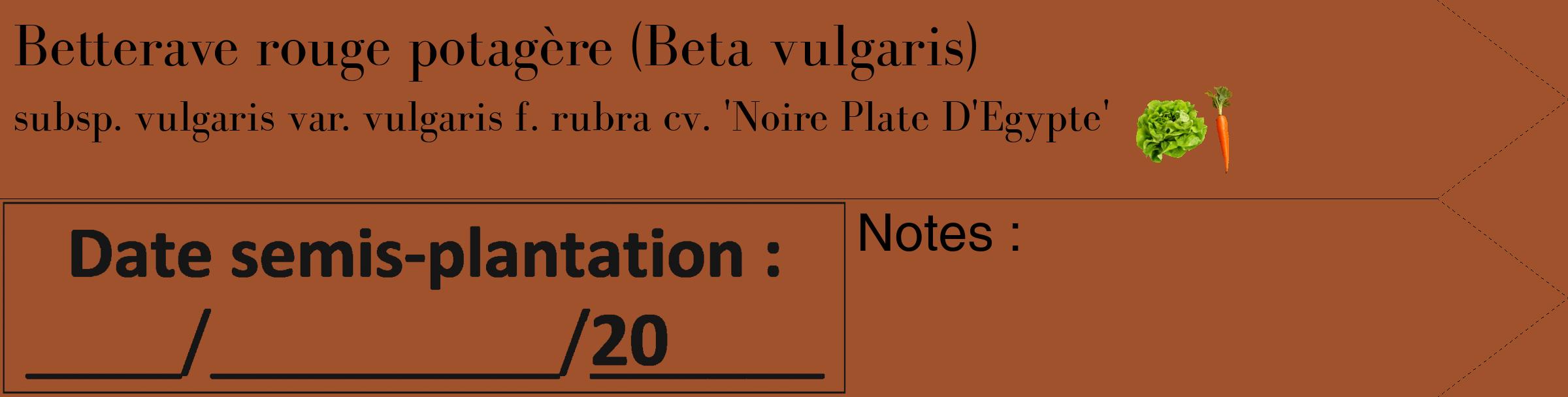 Étiquette de : Beta vulgaris subsp. vulgaris var. vulgaris f. rubra cv. 'Noire Plate D'Egypte' - format c - style noire32_simple_simplebod avec comestibilité simplifiée