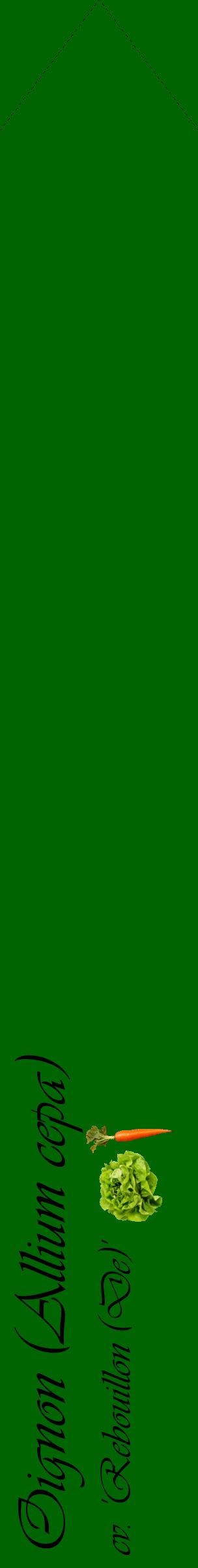 Étiquette de : Allium cepa cv. 'Rebouillon (De)' - format c - style noire8_simpleviv avec comestibilité simplifiée