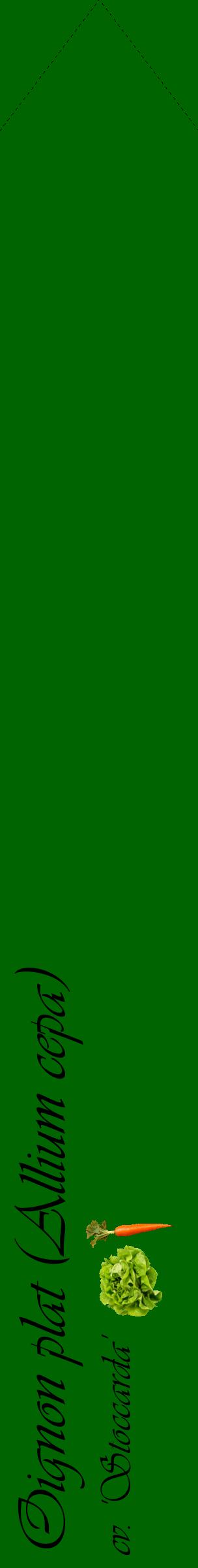 Étiquette de : Allium cepa cv. 'Stoccarda' - format c - style noire8_simpleviv avec comestibilité simplifiée