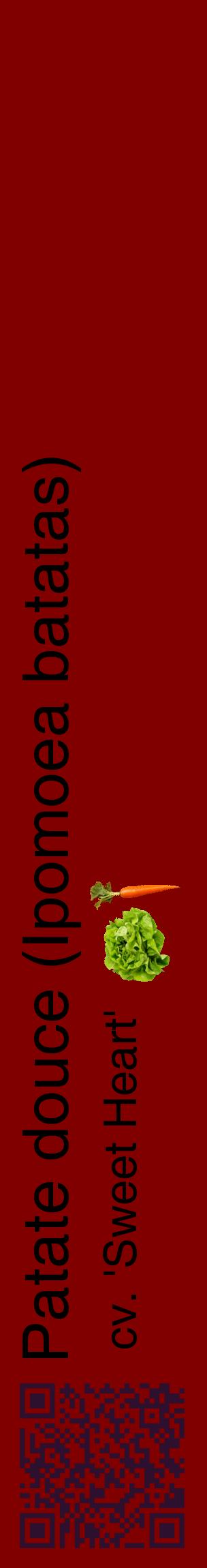 Étiquette de : Ipomoea batatas cv. 'Sweet Heart' - format c - style noire29_basiquehel avec qrcode et comestibilité simplifiée