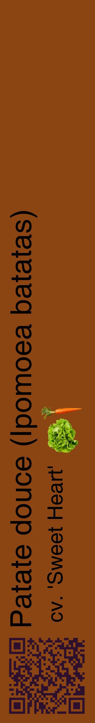 Étiquette de : Ipomoea batatas cv. 'Sweet Heart' - format c - style noire30_basiquehel avec qrcode et comestibilité simplifiée