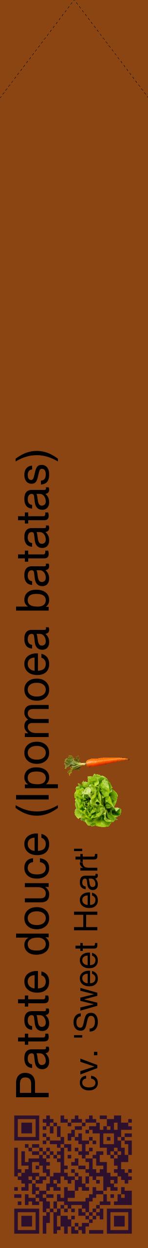 Étiquette de : Ipomoea batatas cv. 'Sweet Heart' - format c - style noire30_simplehel avec qrcode et comestibilité simplifiée