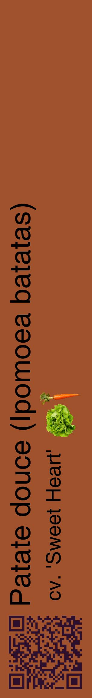 Étiquette de : Ipomoea batatas cv. 'Sweet Heart' - format c - style noire32_basiquehel avec qrcode et comestibilité simplifiée