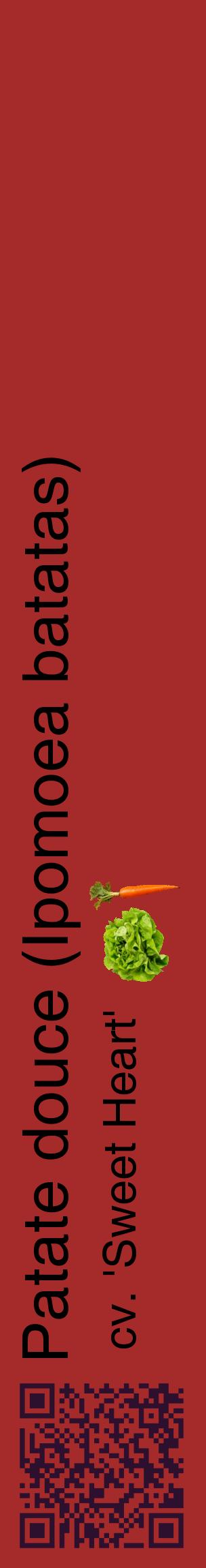 Étiquette de : Ipomoea batatas cv. 'Sweet Heart' - format c - style noire33_basiquehel avec qrcode et comestibilité simplifiée