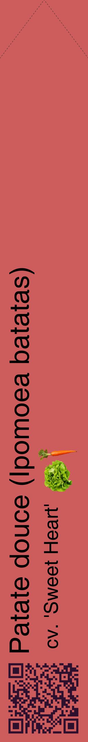 Étiquette de : Ipomoea batatas cv. 'Sweet Heart' - format c - style noire35_simplehel avec qrcode et comestibilité simplifiée