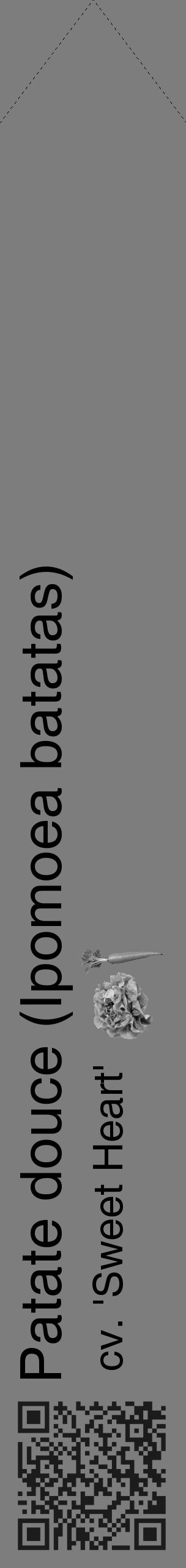 Étiquette de : Ipomoea batatas cv. 'Sweet Heart' - format c - style noire35_simple_simplehel avec qrcode et comestibilité simplifiée - position verticale