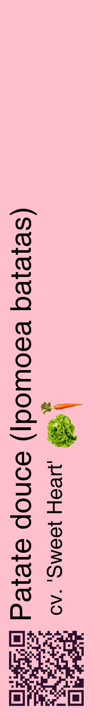 Étiquette de : Ipomoea batatas cv. 'Sweet Heart' - format c - style noire40_basiquehel avec qrcode et comestibilité simplifiée