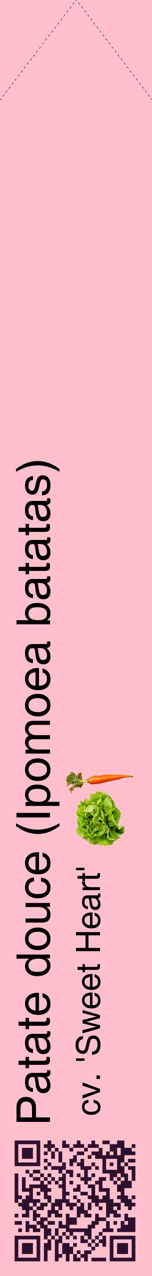 Étiquette de : Ipomoea batatas cv. 'Sweet Heart' - format c - style noire40_simplehel avec qrcode et comestibilité simplifiée