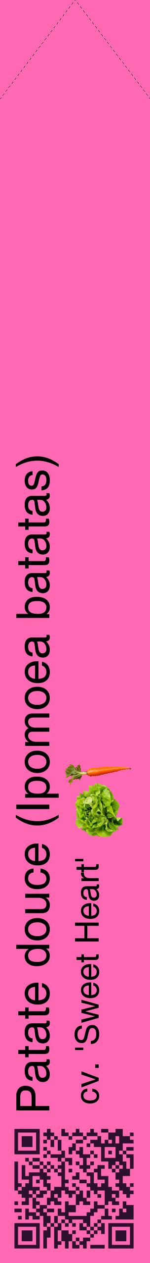 Étiquette de : Ipomoea batatas cv. 'Sweet Heart' - format c - style noire42_simplehel avec qrcode et comestibilité simplifiée