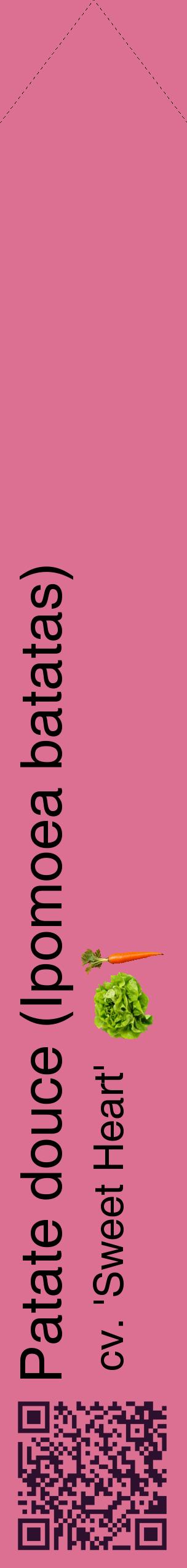 Étiquette de : Ipomoea batatas cv. 'Sweet Heart' - format c - style noire44_simplehel avec qrcode et comestibilité simplifiée