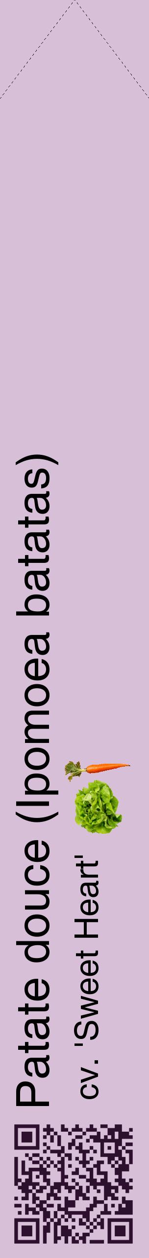 Étiquette de : Ipomoea batatas cv. 'Sweet Heart' - format c - style noire54_simplehel avec qrcode et comestibilité simplifiée