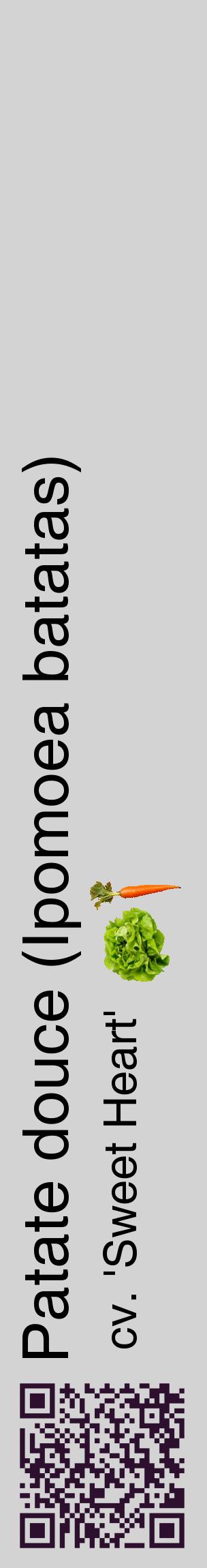Étiquette de : Ipomoea batatas cv. 'Sweet Heart' - format c - style noire56_basiquehel avec qrcode et comestibilité simplifiée