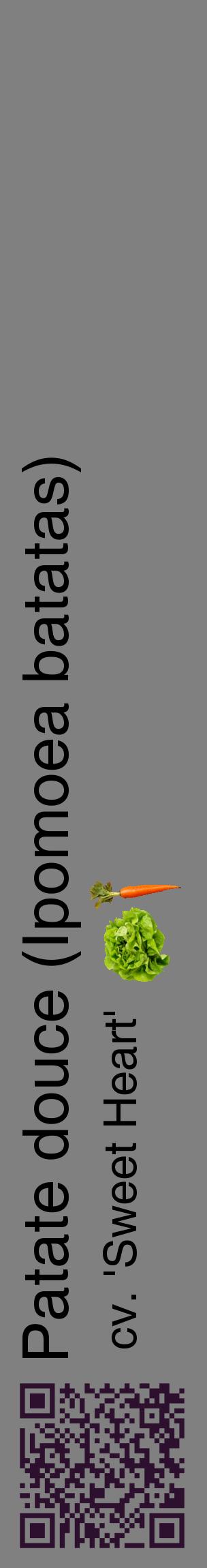 Étiquette de : Ipomoea batatas cv. 'Sweet Heart' - format c - style noire57_basiquehel avec qrcode et comestibilité simplifiée