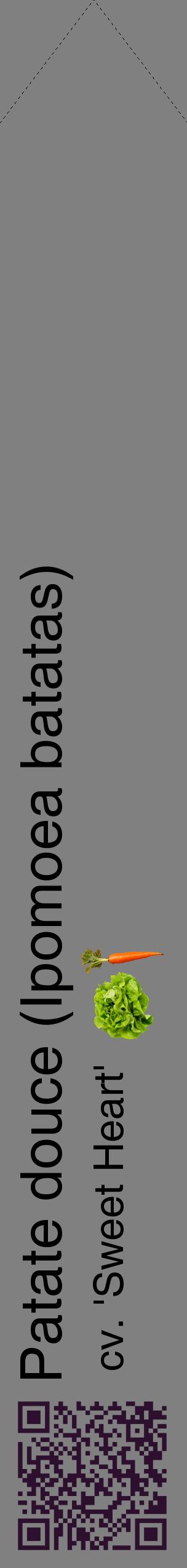 Étiquette de : Ipomoea batatas cv. 'Sweet Heart' - format c - style noire57_simplehel avec qrcode et comestibilité simplifiée