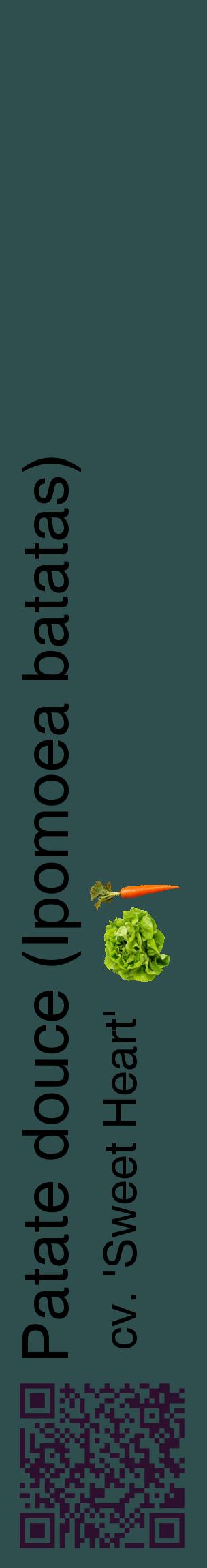 Étiquette de : Ipomoea batatas cv. 'Sweet Heart' - format c - style noire58_basiquehel avec qrcode et comestibilité simplifiée