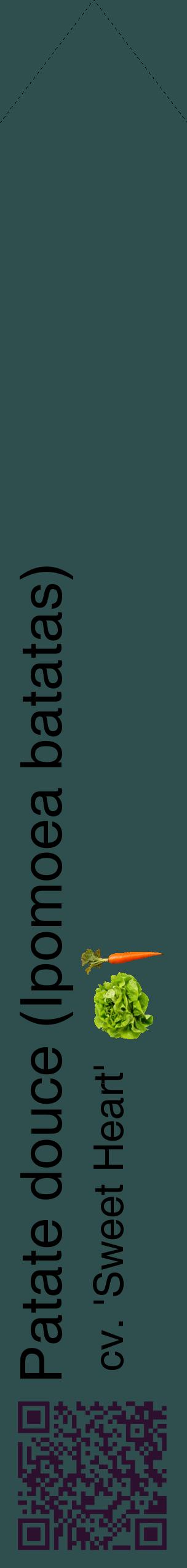 Étiquette de : Ipomoea batatas cv. 'Sweet Heart' - format c - style noire58_simplehel avec qrcode et comestibilité simplifiée
