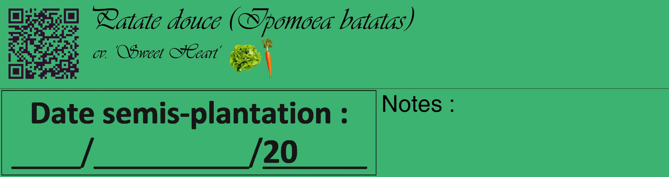 Étiquette de : Ipomoea batatas cv. 'Sweet Heart' - format c - style noire12_basique_basiqueviv avec qrcode et comestibilité simplifiée
