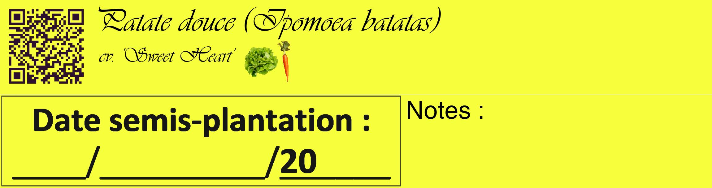 Étiquette de : Ipomoea batatas cv. 'Sweet Heart' - format c - style noire18_basique_basiqueviv avec qrcode et comestibilité simplifiée