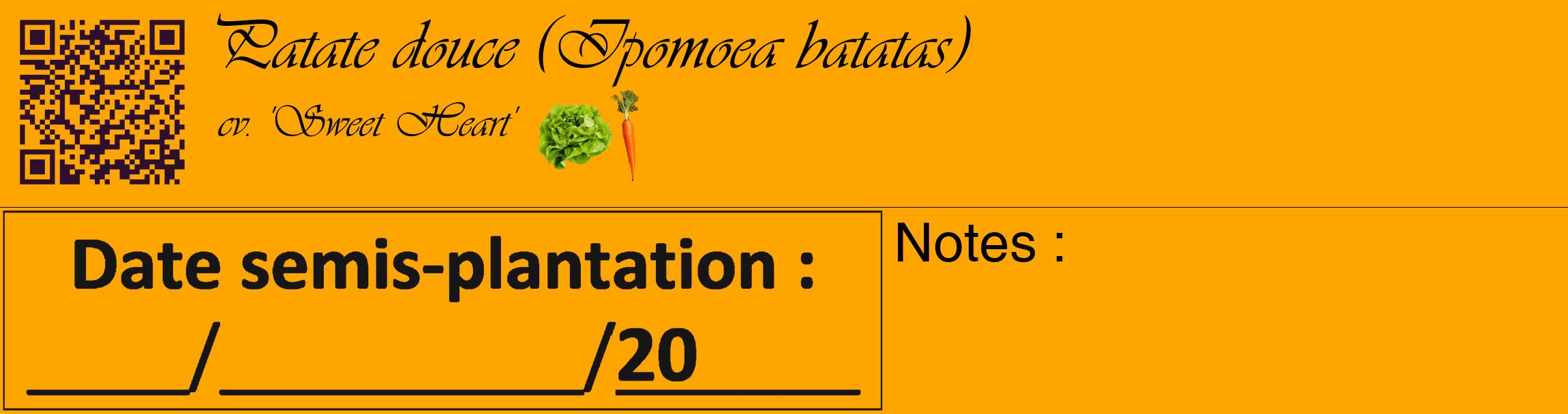 Étiquette de : Ipomoea batatas cv. 'Sweet Heart' - format c - style noire22_basique_basiqueviv avec qrcode et comestibilité simplifiée