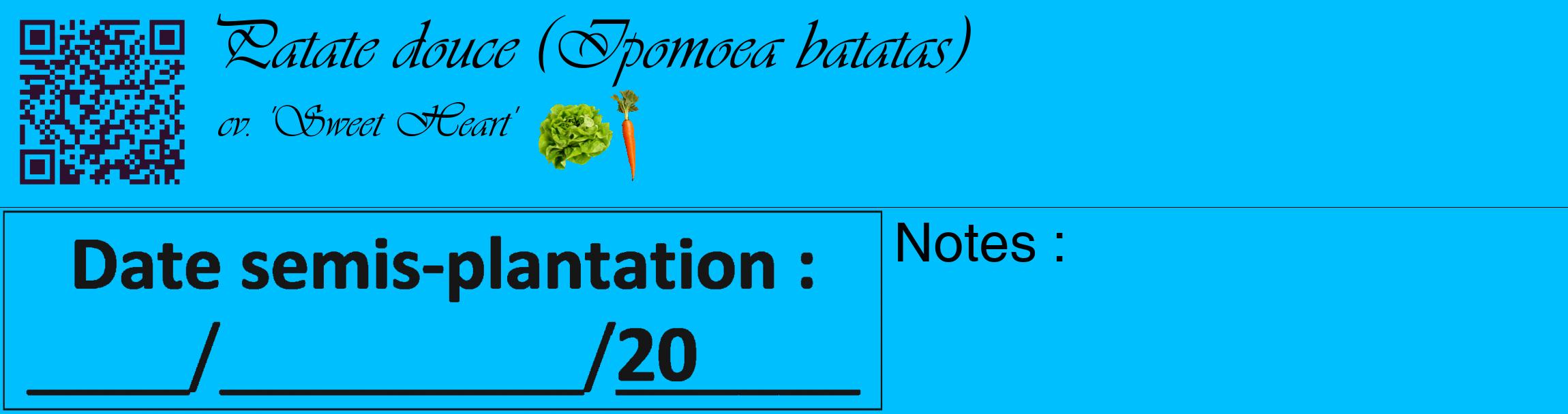 Étiquette de : Ipomoea batatas cv. 'Sweet Heart' - format c - style noire2_basique_basiqueviv avec qrcode et comestibilité simplifiée