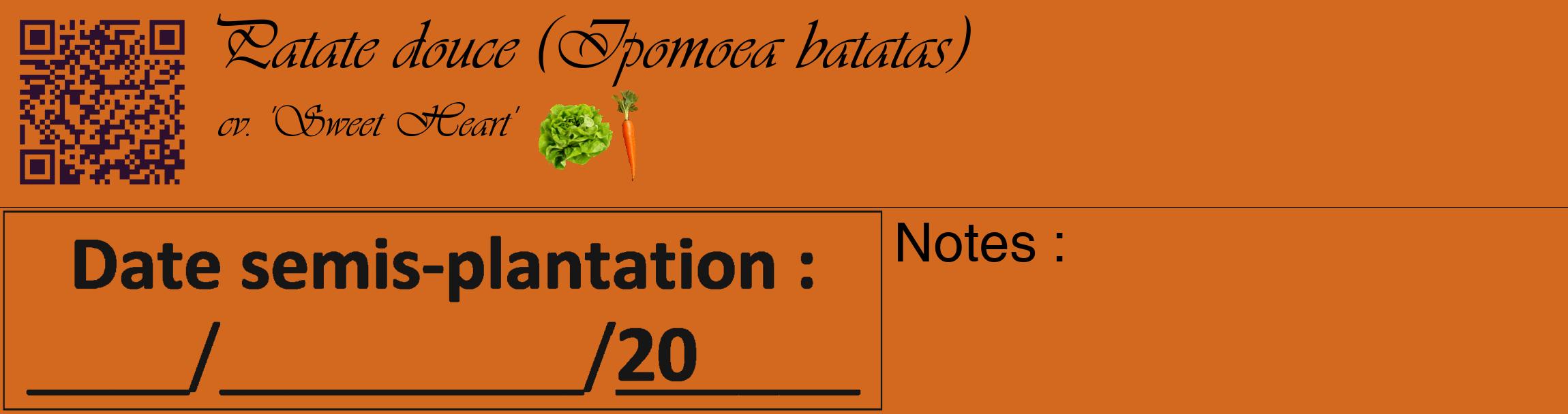 Étiquette de : Ipomoea batatas cv. 'Sweet Heart' - format c - style noire31_basique_basiqueviv avec qrcode et comestibilité simplifiée