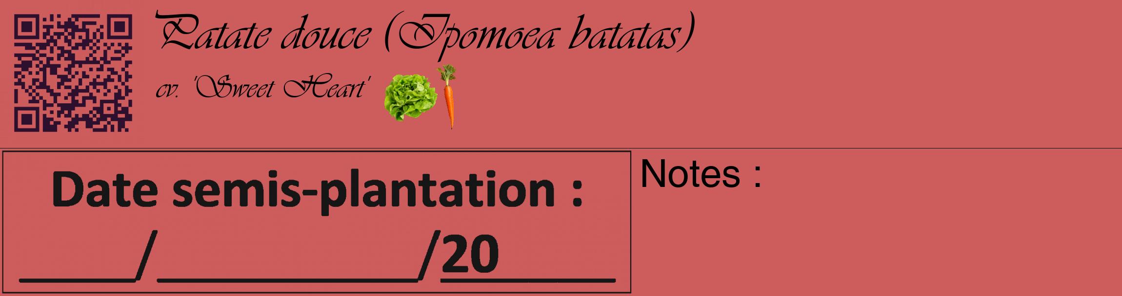 Étiquette de : Ipomoea batatas cv. 'Sweet Heart' - format c - style noire35_basique_basiqueviv avec qrcode et comestibilité simplifiée
