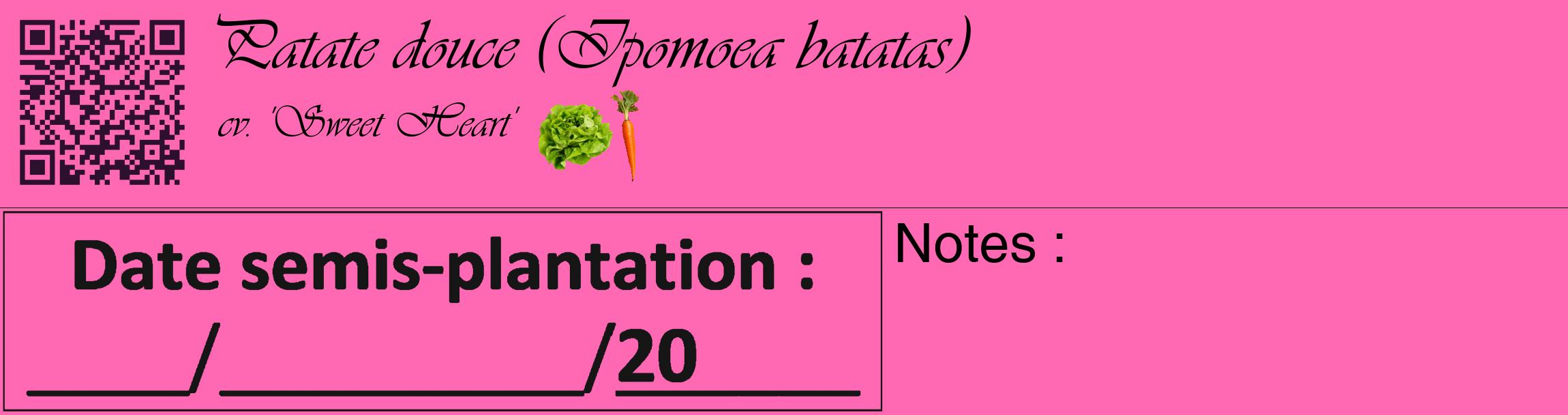 Étiquette de : Ipomoea batatas cv. 'Sweet Heart' - format c - style noire42_basique_basiqueviv avec qrcode et comestibilité simplifiée