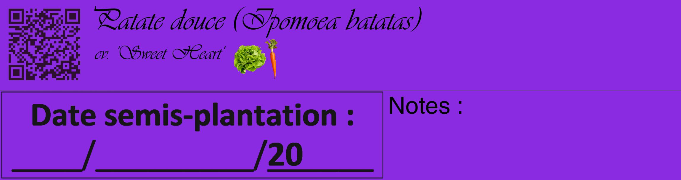 Étiquette de : Ipomoea batatas cv. 'Sweet Heart' - format c - style noire49_basique_basiqueviv avec qrcode et comestibilité simplifiée