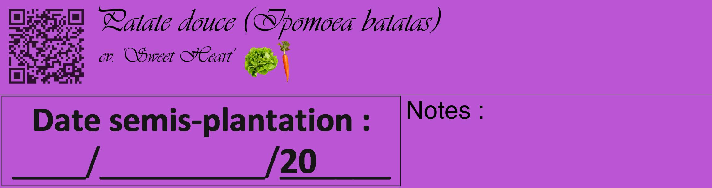 Étiquette de : Ipomoea batatas cv. 'Sweet Heart' - format c - style noire50_basique_basiqueviv avec qrcode et comestibilité simplifiée
