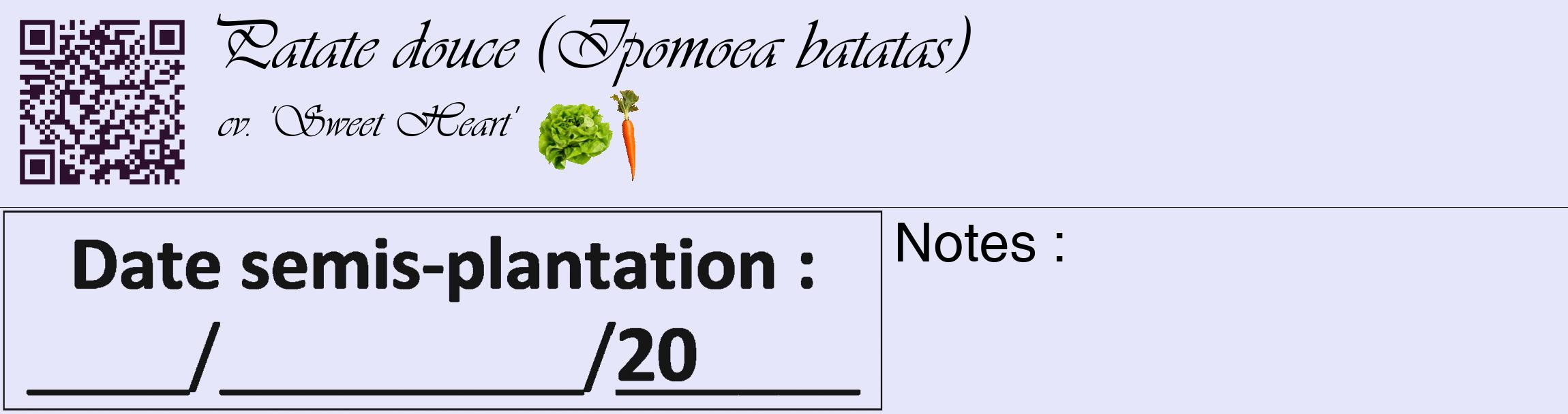 Étiquette de : Ipomoea batatas cv. 'Sweet Heart' - format c - style noire55_basique_basiqueviv avec qrcode et comestibilité simplifiée