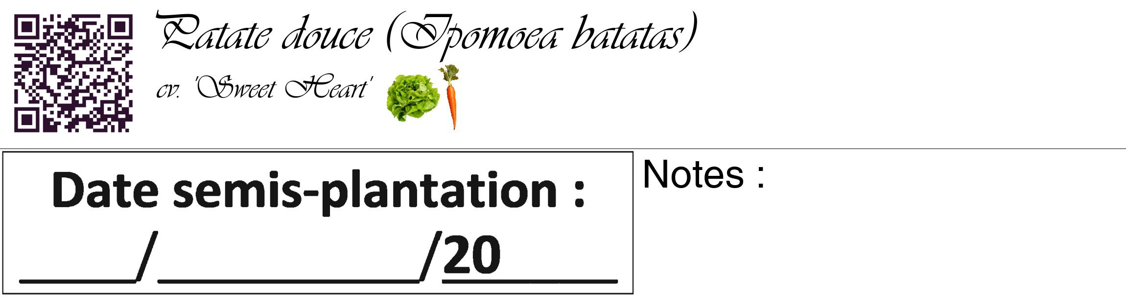 Étiquette de : Ipomoea batatas cv. 'Sweet Heart' - format c - style noire60_basique_basiqueviv avec qrcode et comestibilité simplifiée