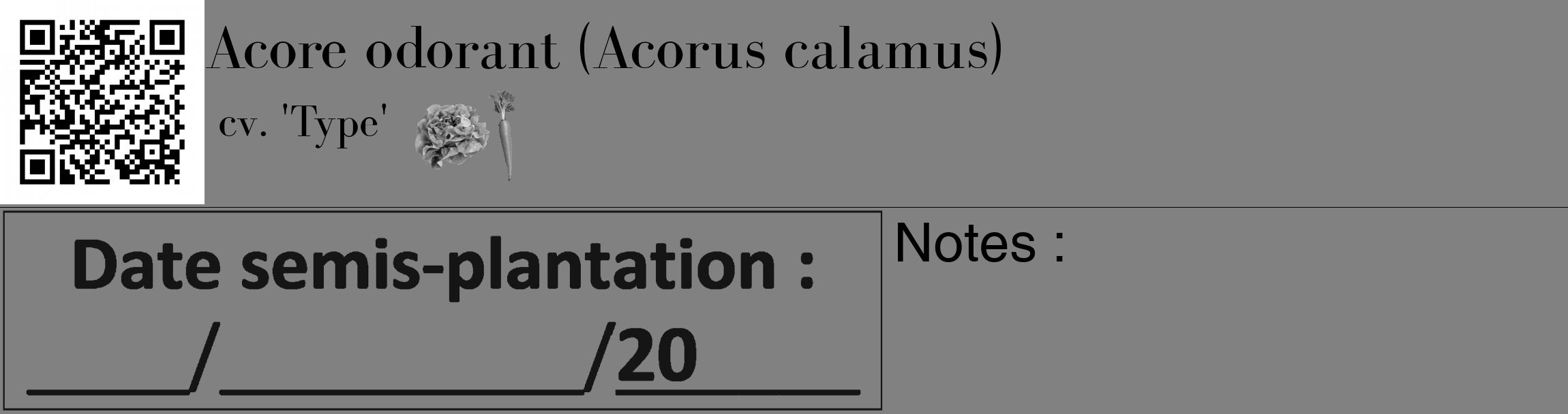 Étiquette de : Acorus calamus cv. 'Type' - format c - style noire50_basique_basiquebod avec qrcode et comestibilité simplifiée