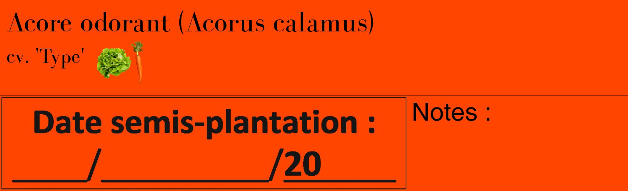Étiquette de : Acorus calamus cv. 'Type' - format c - style noire26_basique_basiquebod avec comestibilité simplifiée