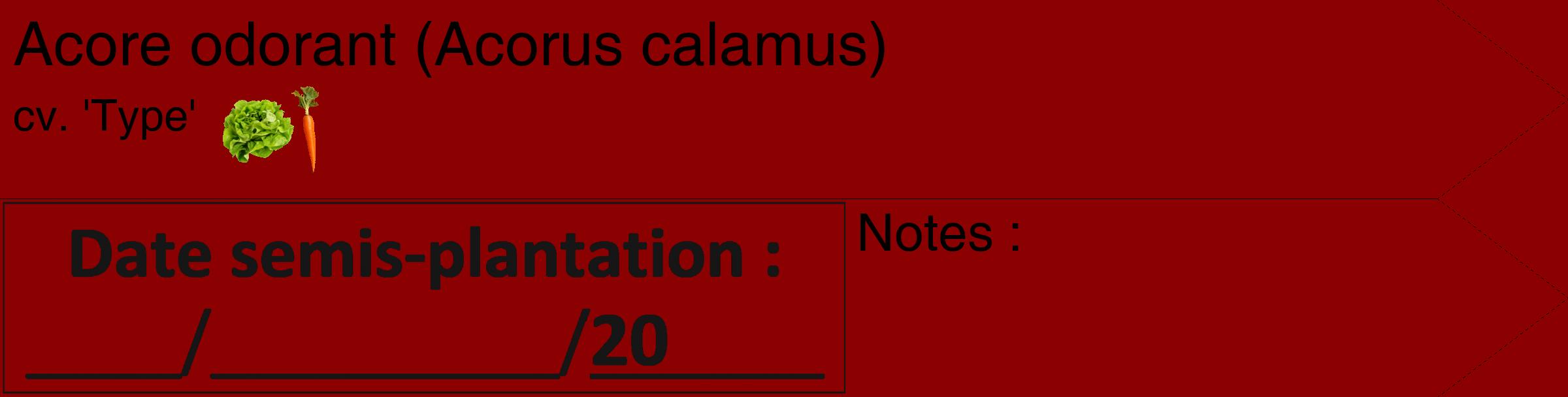 Étiquette de : Acorus calamus cv. 'Type' - format c - style noire34_simple_simplehel avec comestibilité simplifiée